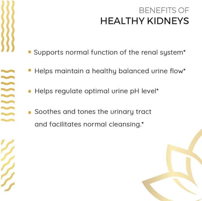 Kerala Ayurveda Healthy Kidney Herbal Tablets | Support Normal Kidney Function and Health | Kidney and Bladder Support | Urinary System Support - 90 Count