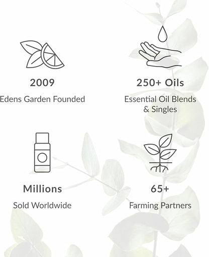 Edens Garden Top Essential Oil Blends Sampler 18 Set – 100% Pure Therapeutic Grade, Natural, Undiluted Aromatherapy Scents for Diffusers & Humidifiers – Wellness Gift for Men & Women, .92 ml/ 18 Pack
