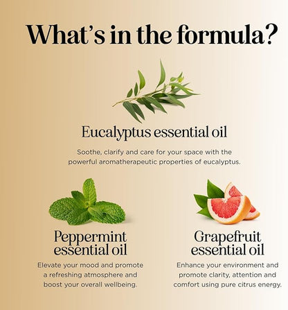 Focus Essential Oil Blend for Diffusers - Aromatherapy Essential Oils Blend for Home and Travel Energy Focus and Attention Support with Grapefruit Bergamot Peppermint and Eucalyptus (1 Fl Oz)