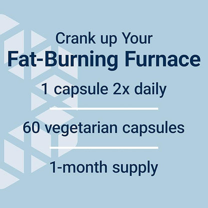 Life Extension 7-Keto DHEA Metabolite â Crank Up Your Fat-Burning Furnace â Non-GMO â Gluten-Free â 100 Mg â 60 Vegetarian Capsules
