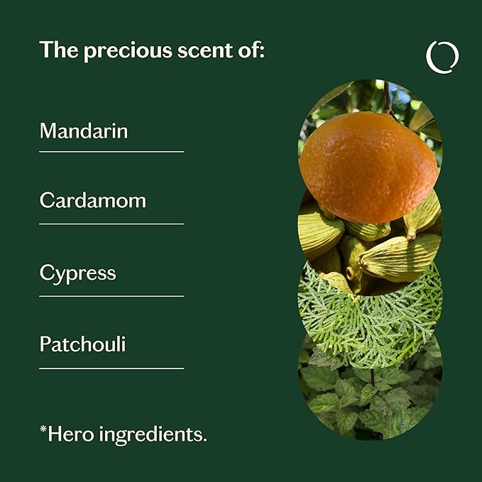LIVEDROPS 24/7 Balanced Essential Oil Blend - Crafted in France Mandarin, Cardamon & Patchouli - Pure & Natural - Aromatherapy - Skin Safe & Diffuser Compatible - Clinically Tested
