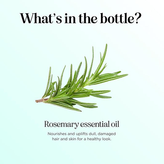 Pure Rosemary Oil for Hair Care - Volumizing Aromatherapy Rosemary Essential Oil for Diffuser Plus Hair Skin and Nail Care - Nourishing Rosemary Hair Oil for Enhanced Shine and Dry Scalp Care (2oz)