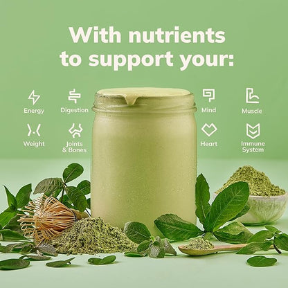 KaâChava All-In-One Nutrition Shake Blend, 85+ Superfoods & Nutrients, Meal Replacement, Greens Plant-Based Superfood Powder Protein Drink, Digestive Enzymes & Probiotics, Vegan Dairy Gluten Free, 2lb